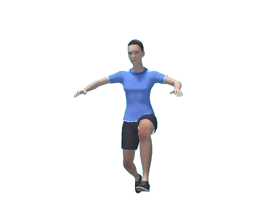 morphosegif_white.gif