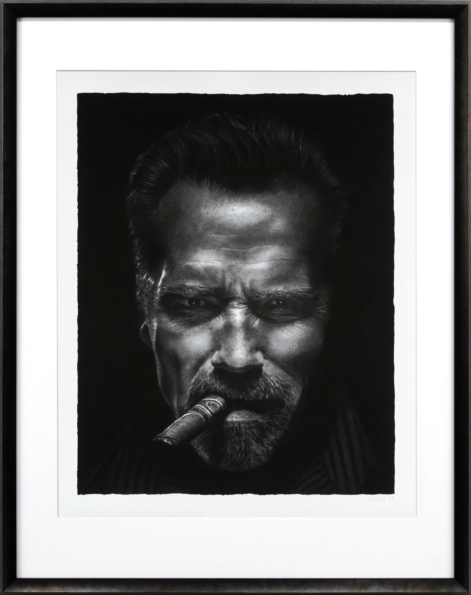Dan Pyle | Extremely Arnold