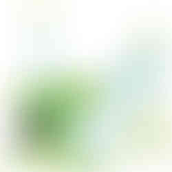 kit outillage jardin enfants