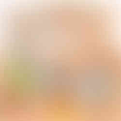 puzzle bois animaux voitures bébé enfants cadeau noel