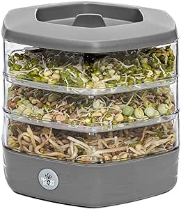 germoir pour graines à germer