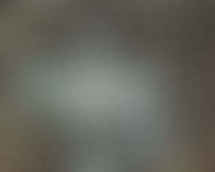 «En la red», de Pablo Olivares, una valiente declaración en un mundo indiferente