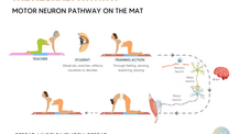 Three Times a Charm: The Science and Art of Repeating Your Yoga Sequences.