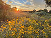 NewMexicoLandscape_edited.jpg