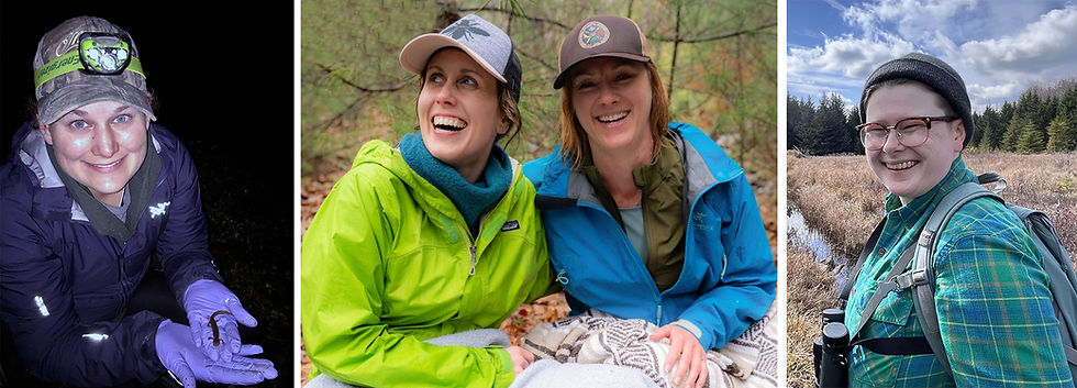 Tree Talks to Explore Our Central Appalachian Forests