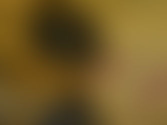 Японская версия клипа BTS «Blood, Sweat & Tears» превысила отметку в 2 млн. просмотров