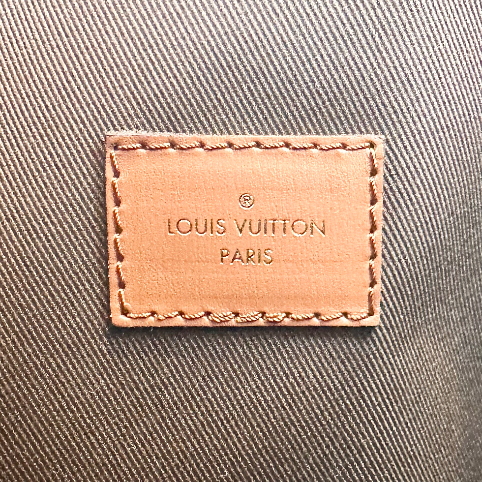 Thumbnail: Louis Vuitton Loop Hobo & Pouch Microchip