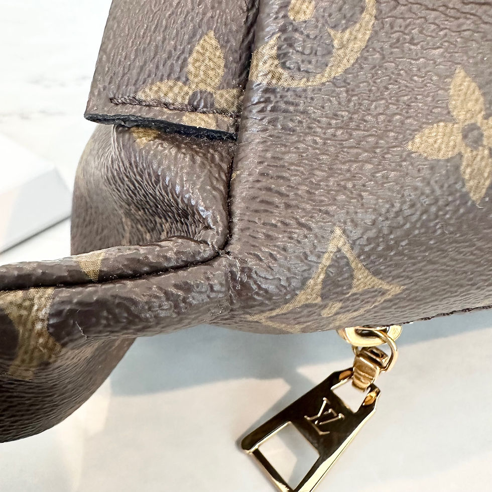 Thumbnail: Louis Vuitton Bumbag Monogram CA2220
