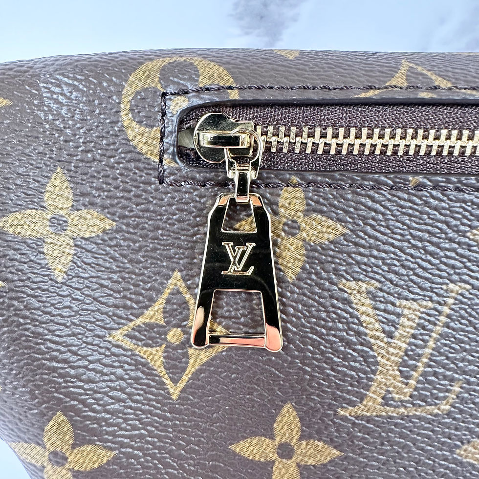 Thumbnail: Louis Vuitton High Rise Bumbag Monogram Microchip
