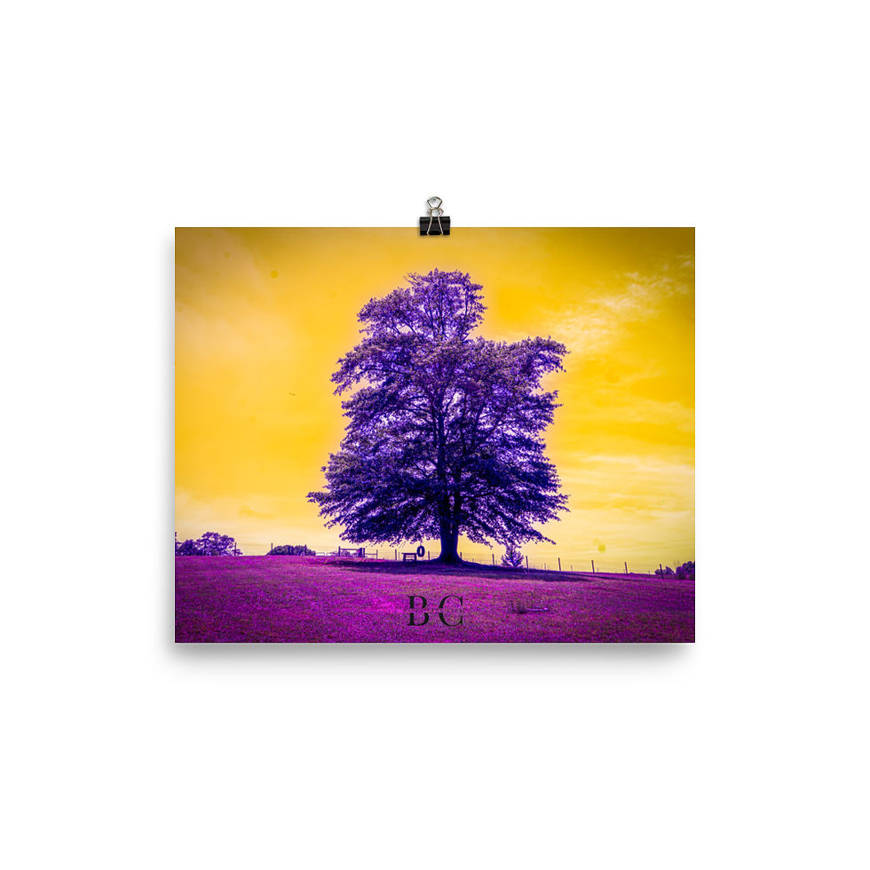 Thumbnail: Lonely Tree Purple Poster