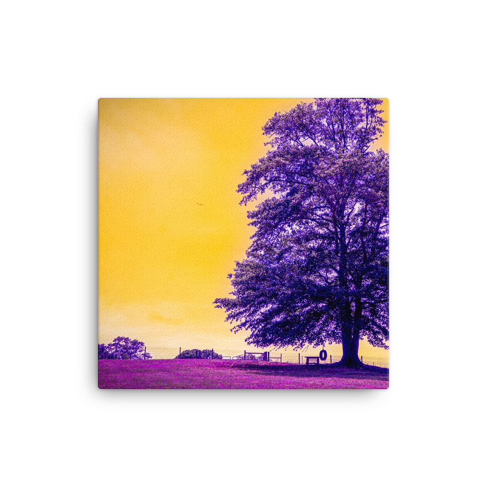 Thumbnail: Lonely Tree Purple Canvas