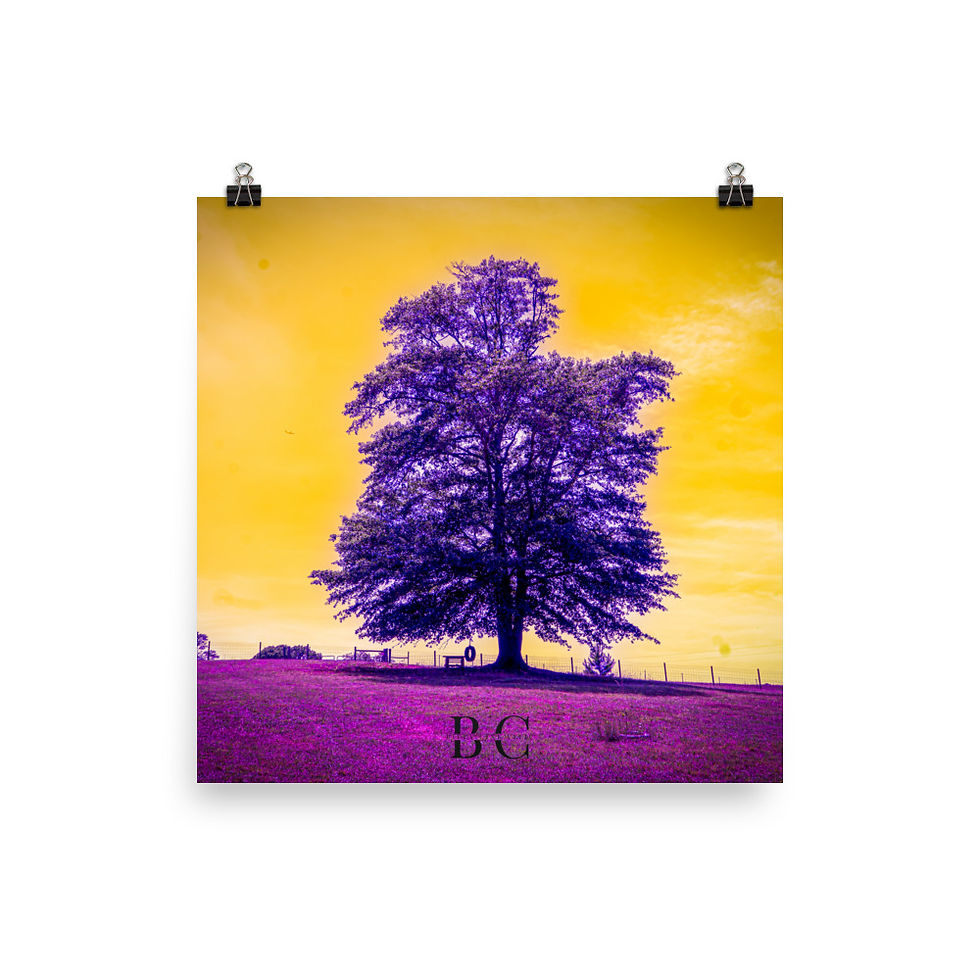 Thumbnail: Lonely Tree Purple Poster