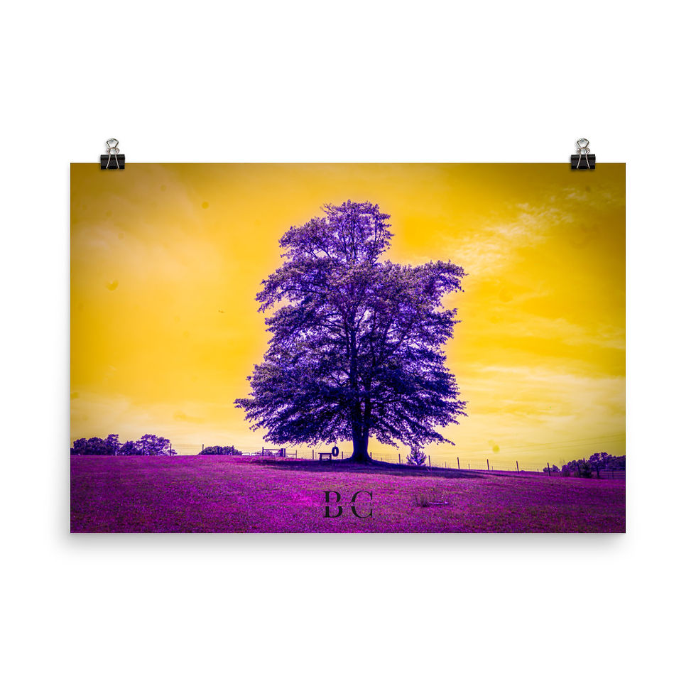 Thumbnail: Lonely Tree Purple Poster