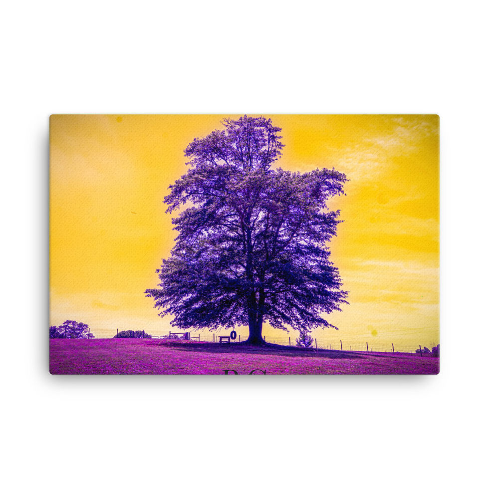 Thumbnail: Lonely Tree Purple Canvas