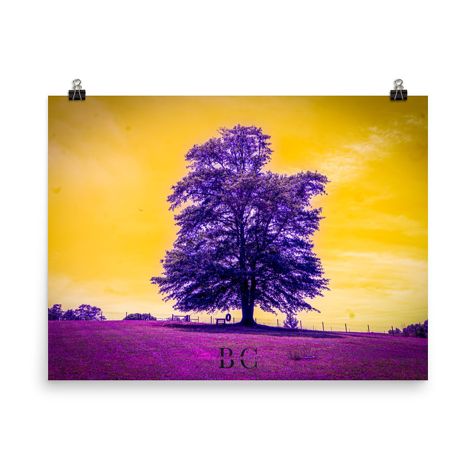 Thumbnail: Lonely Tree Purple Poster