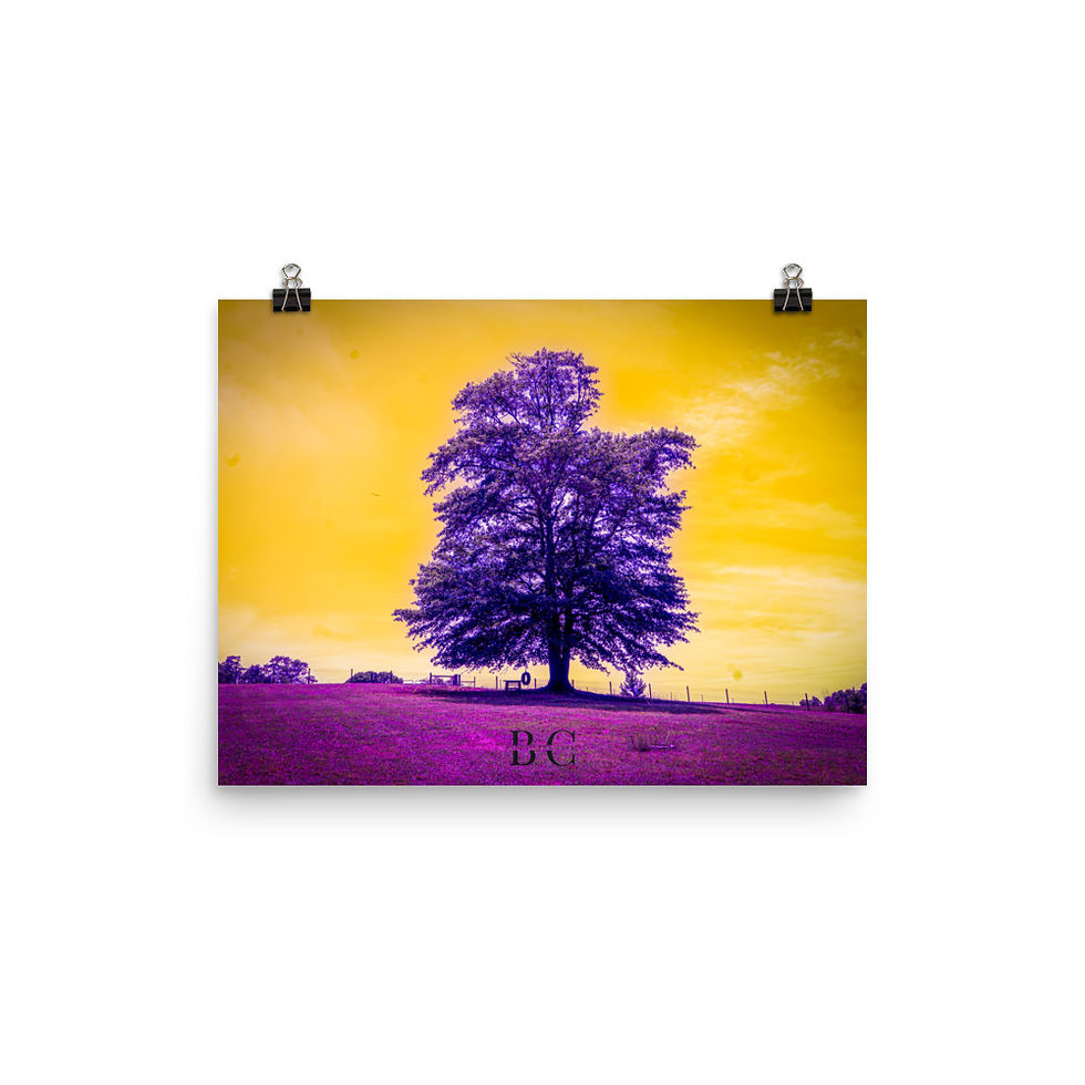 Thumbnail: Lonely Tree Purple Poster