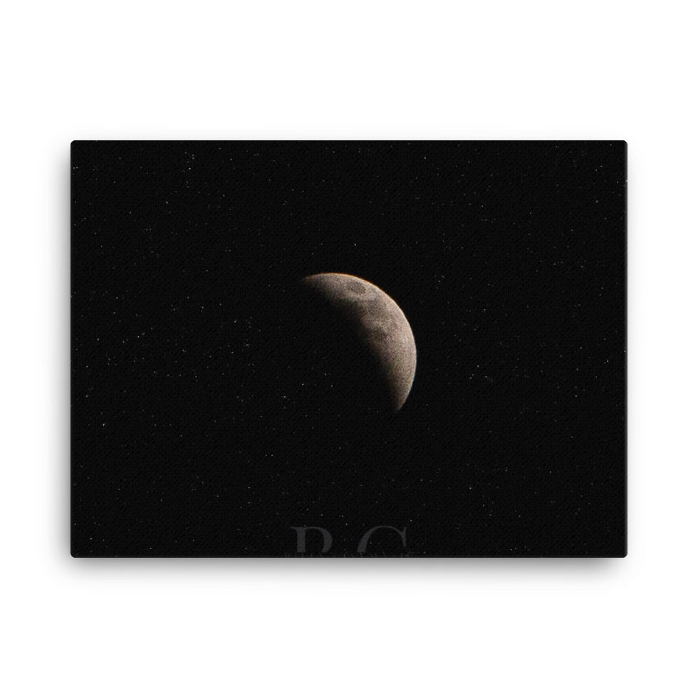 Thumbnail: Dark MOON Canvas