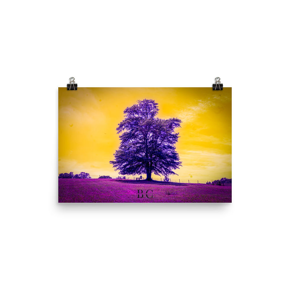 Thumbnail: Lonely Tree Purple Poster