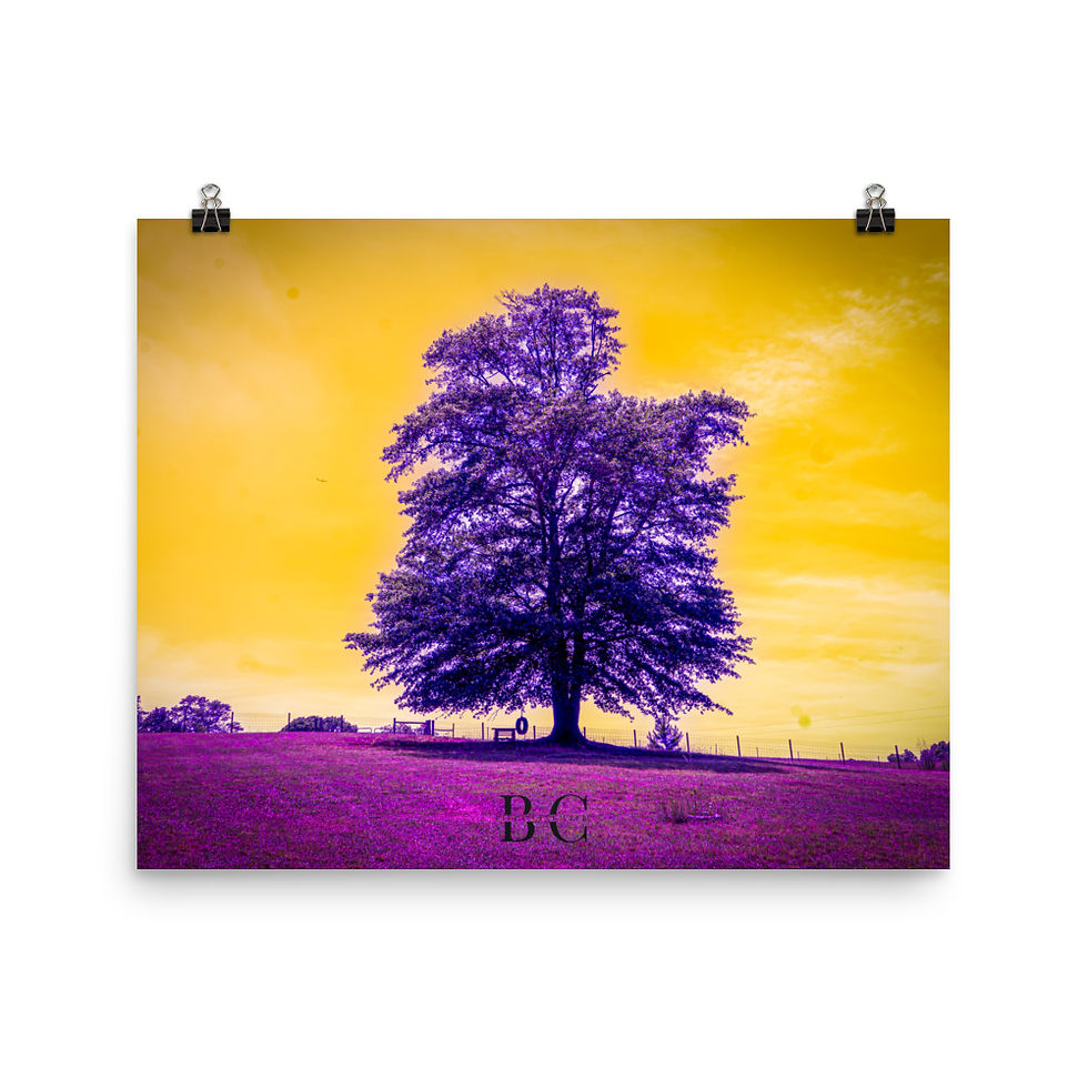 Thumbnail: Lonely Tree Purple Poster