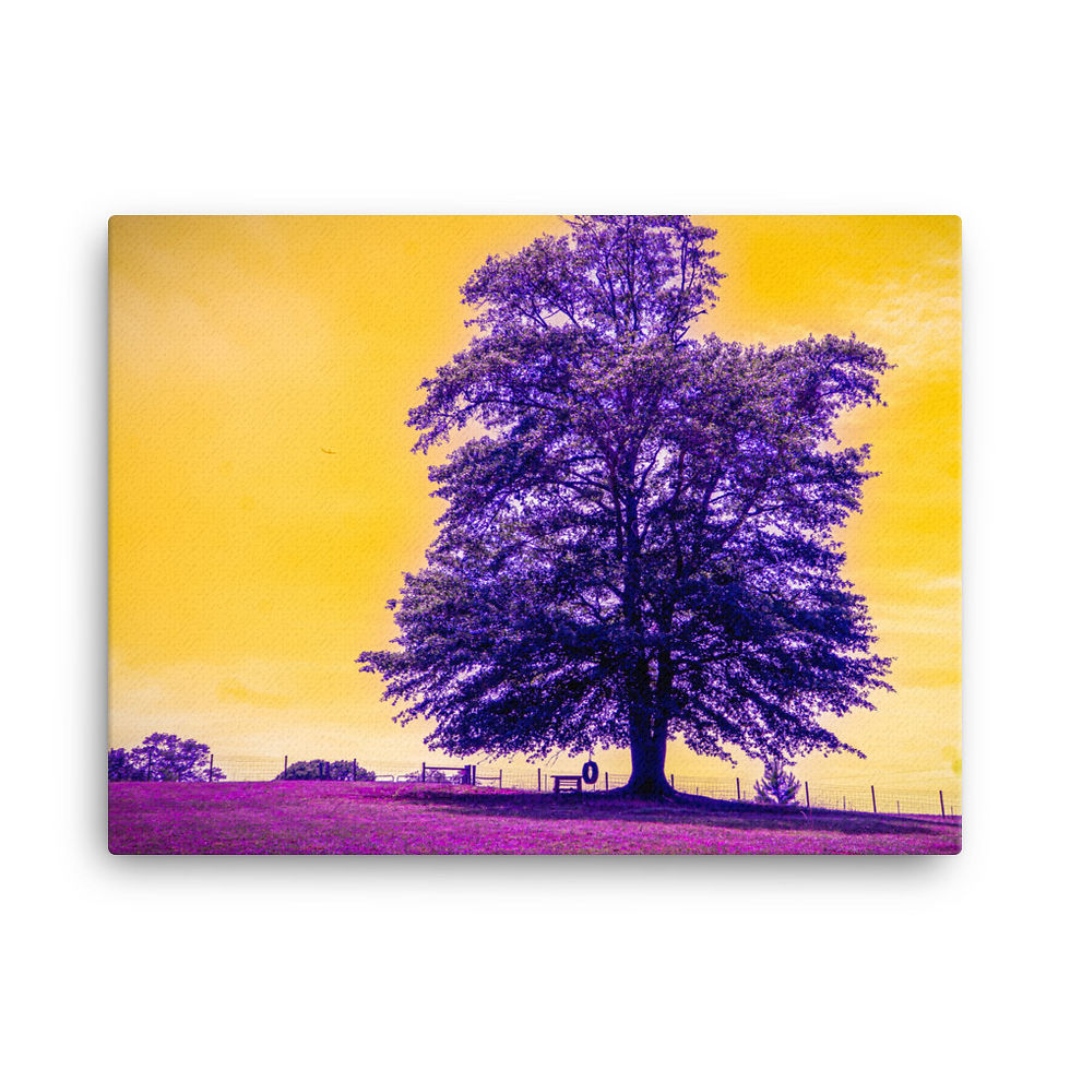 Thumbnail: Lonely Tree Purple Canvas