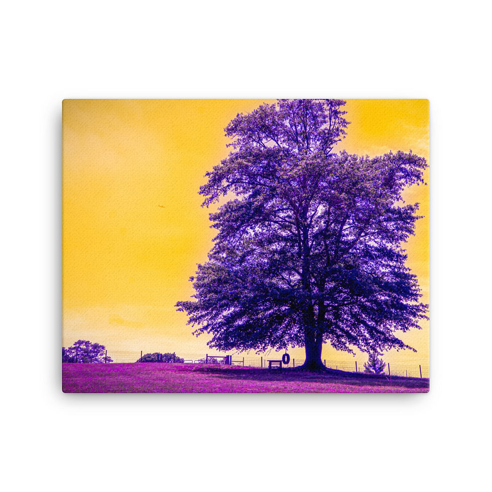 Thumbnail: Lonely Tree Purple Canvas