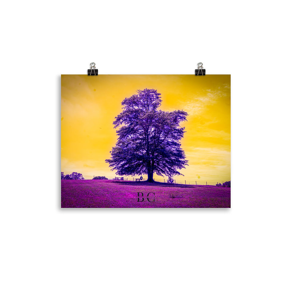 Thumbnail: Lonely Tree Purple Poster