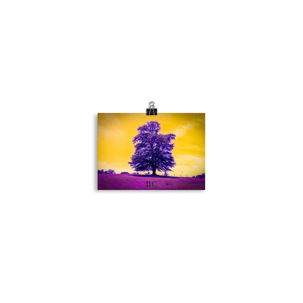 Thumbnail: Lonely Tree Purple Poster