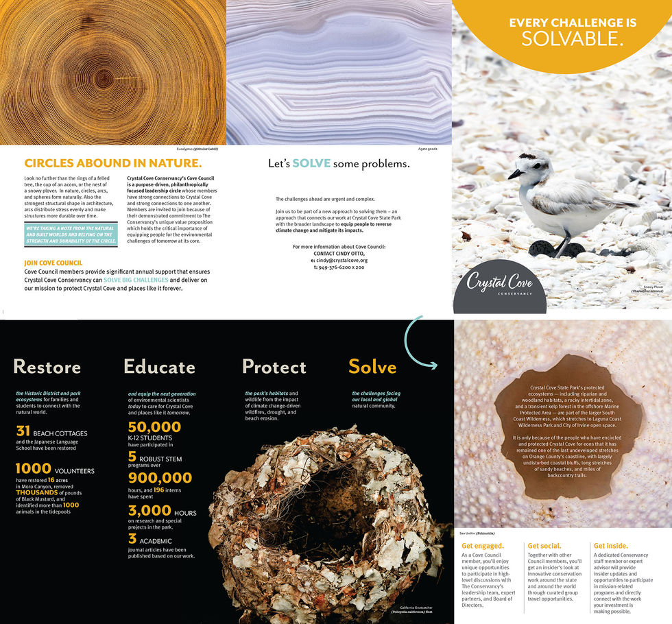 CoveCouncil_2020 1.jpg