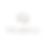 Asset 7