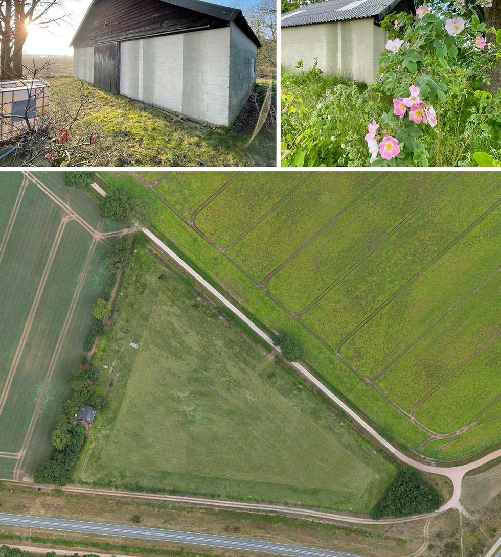 3) Puntske Boschoven luchtfoto 2025-08-B.jpg