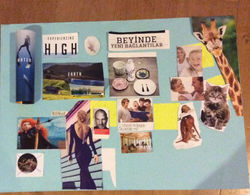 31 Ocak 2016 Vizyon Panosu Çalışması