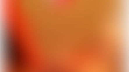 Our Product Warranty