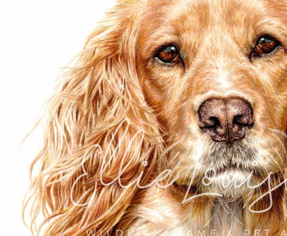 Thumbnail: Limited edition - Barley in the breeze