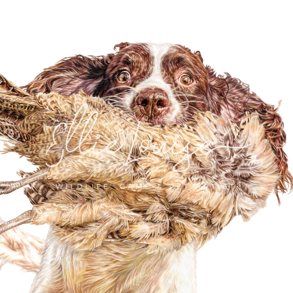 Thumbnail: 'Beater's best friend' Limited edition print