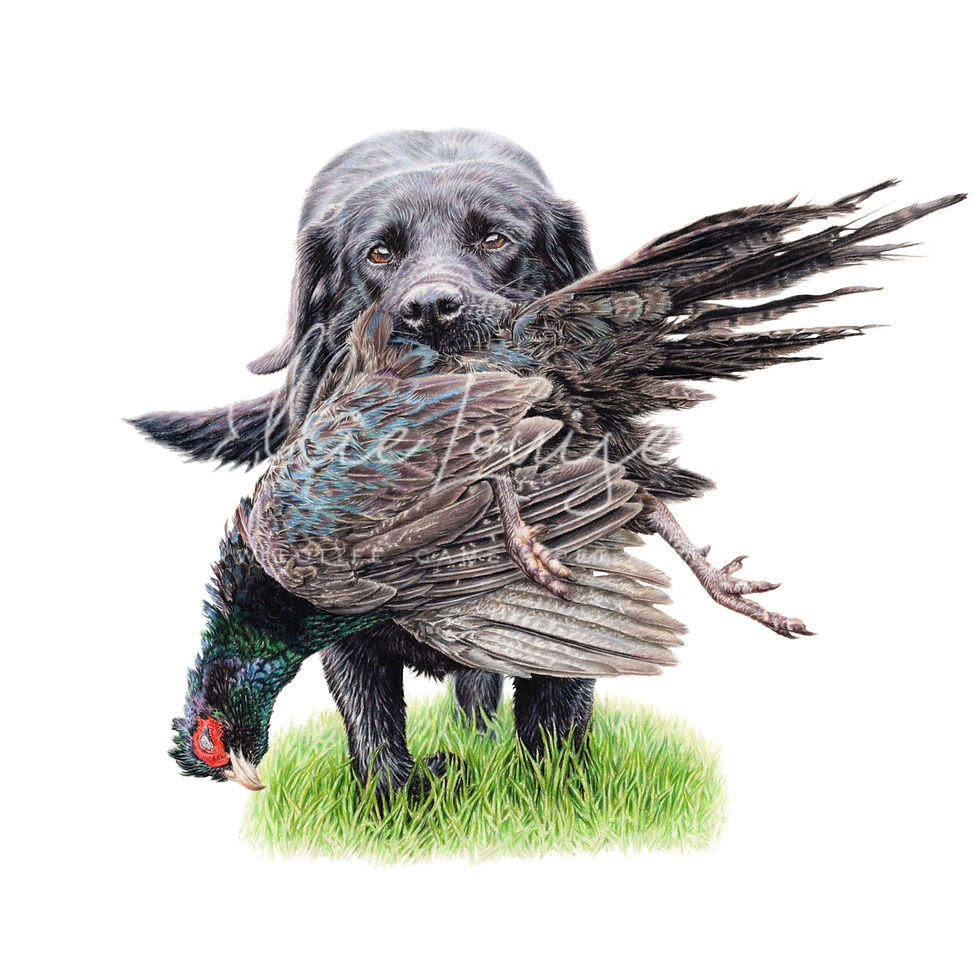 Thumbnail: Original - 'Peg dog pick' Framed