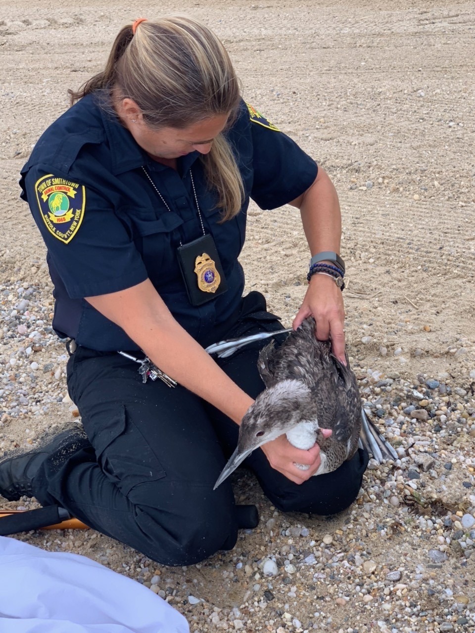 Town of Smithtown Animal Shelter
