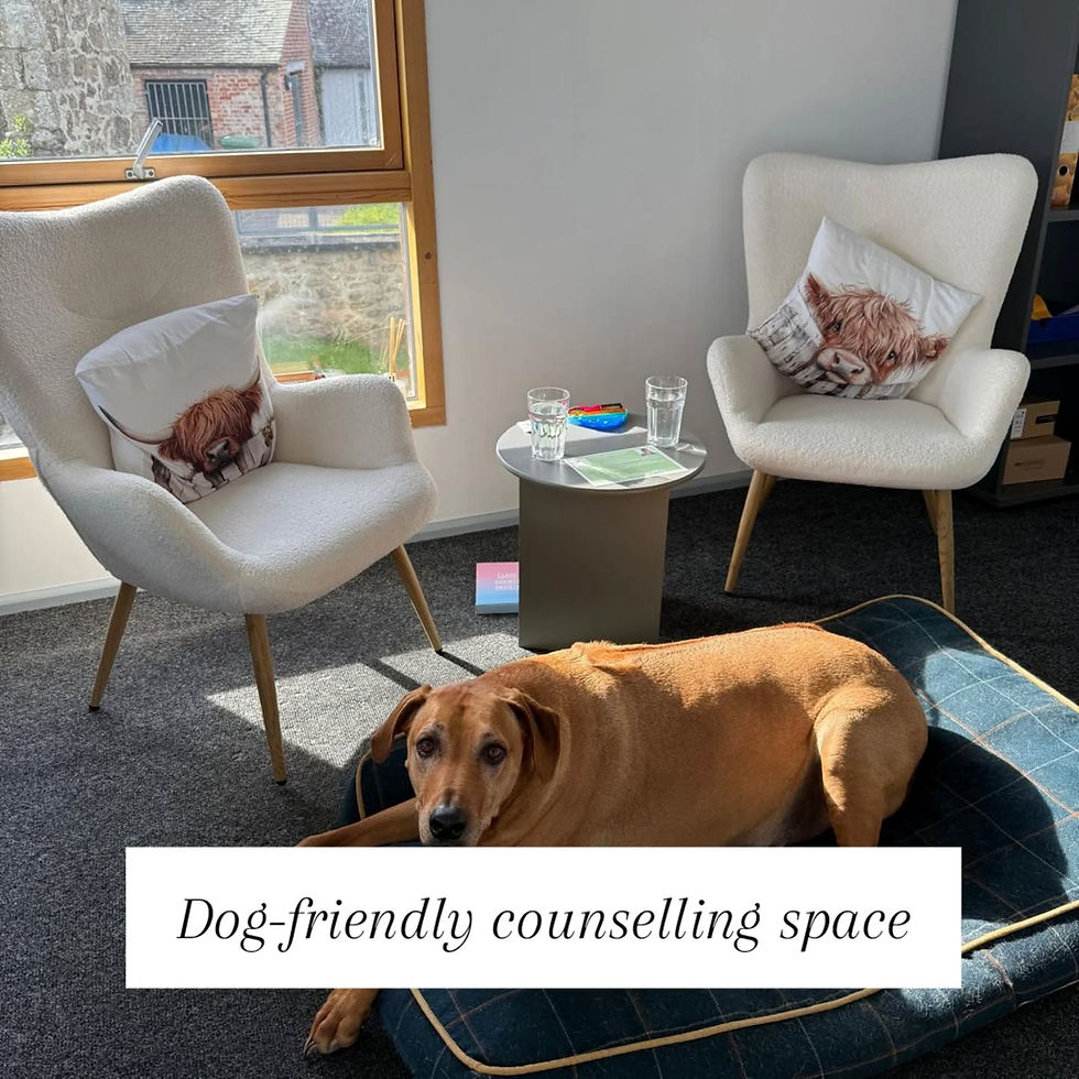 Dog-friendly counselling sessions