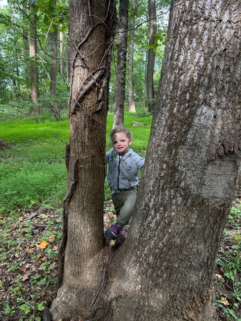 In the Forest