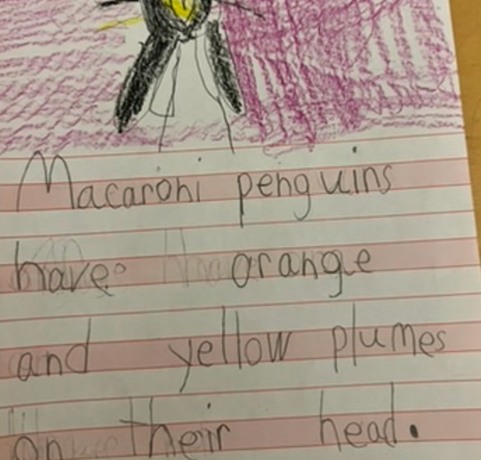 Screen Shot 2026-02-21 at 8.20.59 PM.png