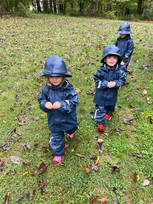 Out in the forest rain or shine