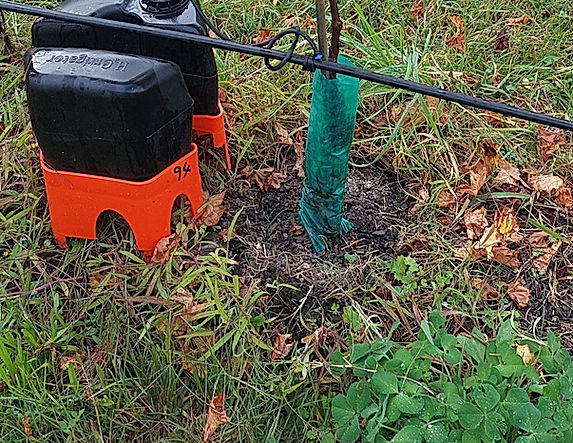 H2Ortigator suppressing competitive weeds around a young vine
