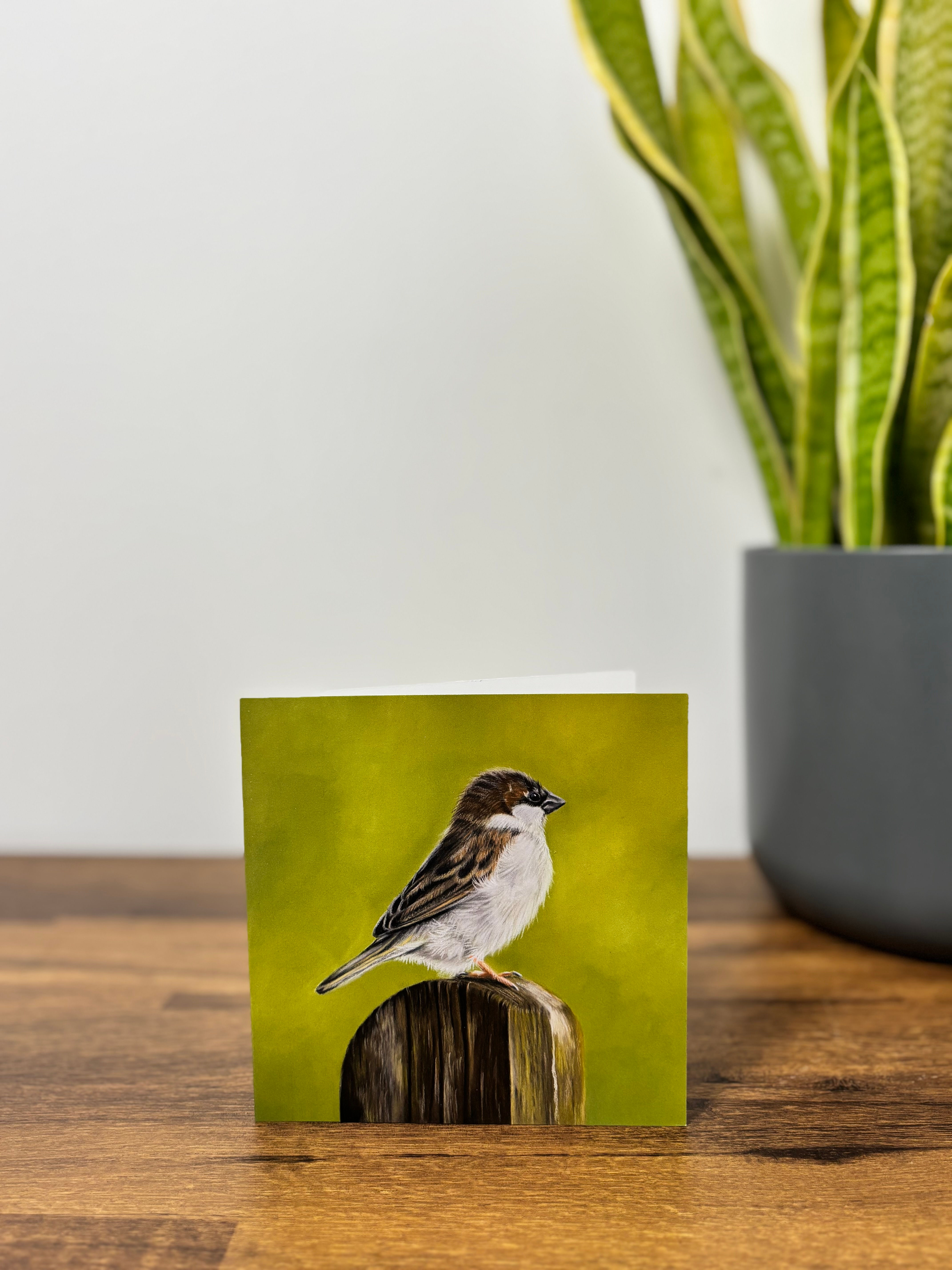 "Watching the world go by" - Card