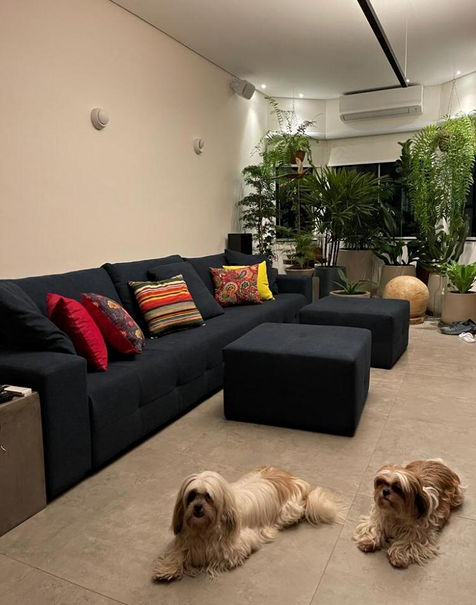 almofadas barong (2).jpeg