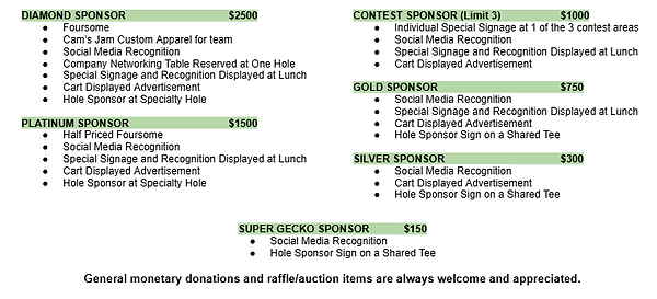 Sponsor info.png