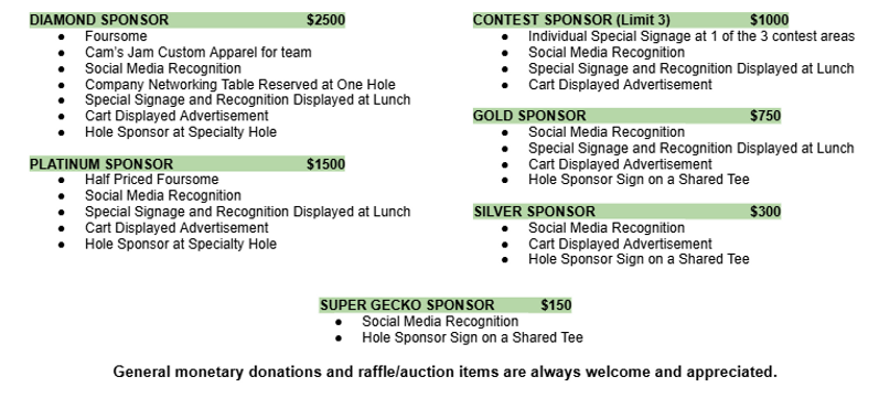 Sponsor info.png