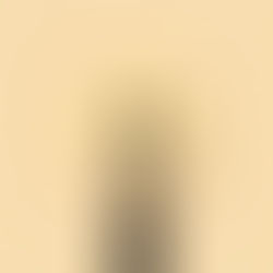 Healing begins when we start facing our emotions, turning toward the feelings we’ve pushed into the shadows, and learning to understand the story they’ve been trying to tell.