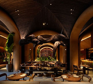 photo_2026-01-16_20-54-10 (2).jpg