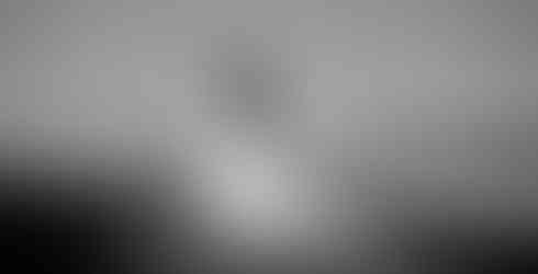 Elopement ceremony among ancient trees at Cathedral Grove on Vancouver Island