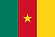 Flag_of_Cameroon.svg.png