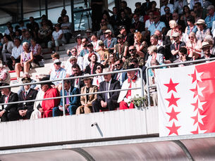 Das Eidgenössische Tambouren- und Pfeiferfest 2027 in Visp bekommt ein Gesicht